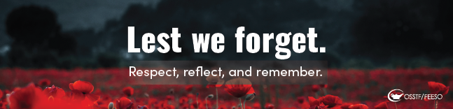 Lest we Forget. Respect, reflect, remember. 
